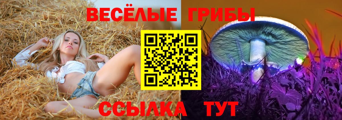 COCAIN  Канабис  Торжок  Альфа ПВП СОЛЬ кристаллы  Меф МЯУ МЯУ кристаллы  ГАШ  Вход с VPN 